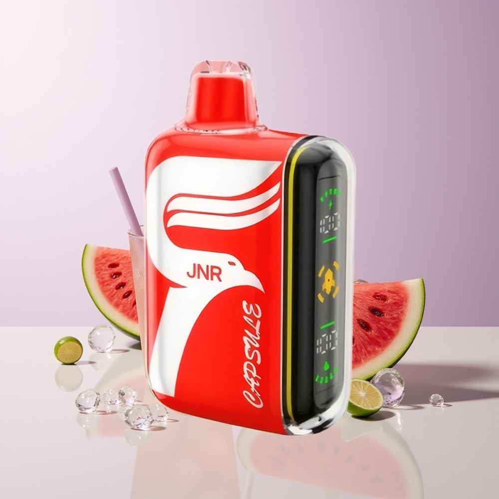 JNR Capsule 15000 Bocadillos Sandía Helada Dual Mesh Coil Chile Por Mayor
