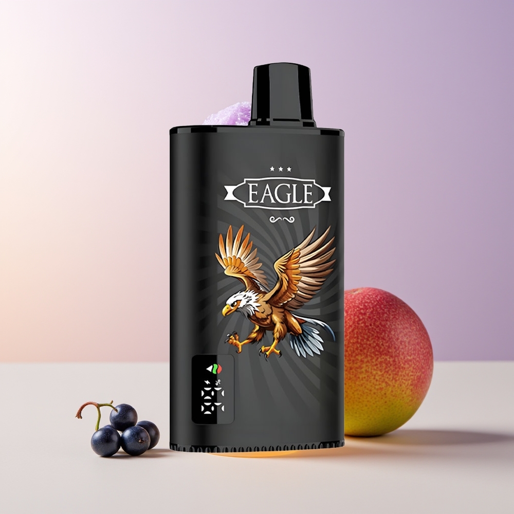 JNR EAGLE Smart 23000 Puffs Blackcurrant Mango Hielo Pantalla Digital Chile Por Mayor