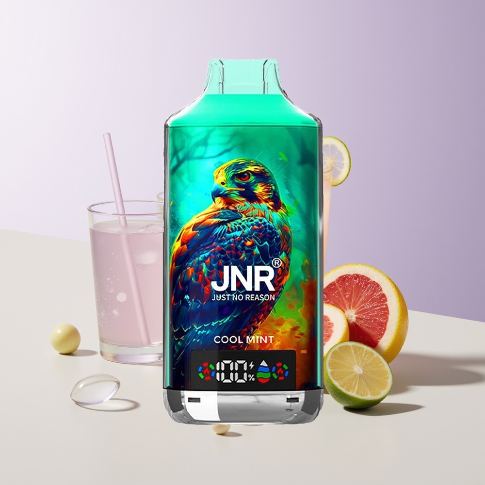 JNR Falcon X 18000 Puffs Menta Refrescante Chile Por Mayor