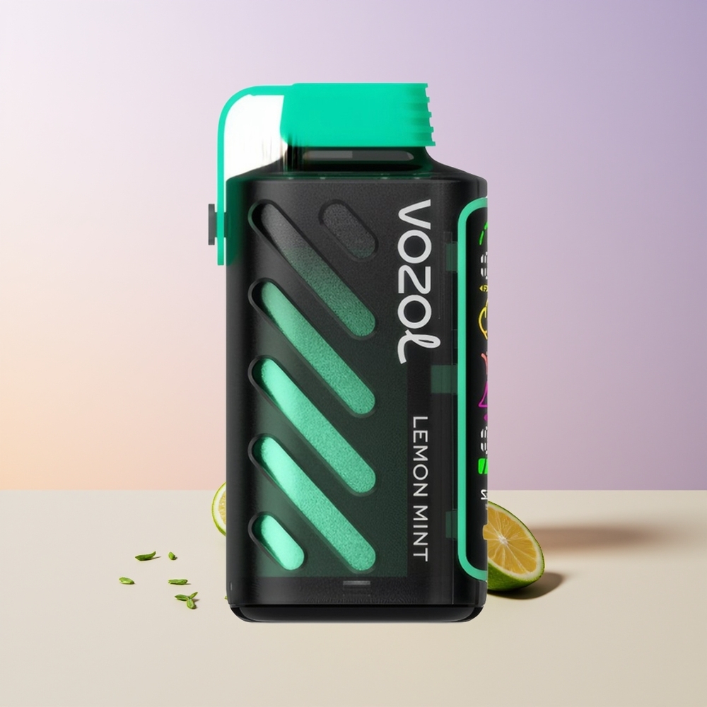 VOZOL Gear Power 20000 Limón Menta Pantalla Completa Chile Por Mayor