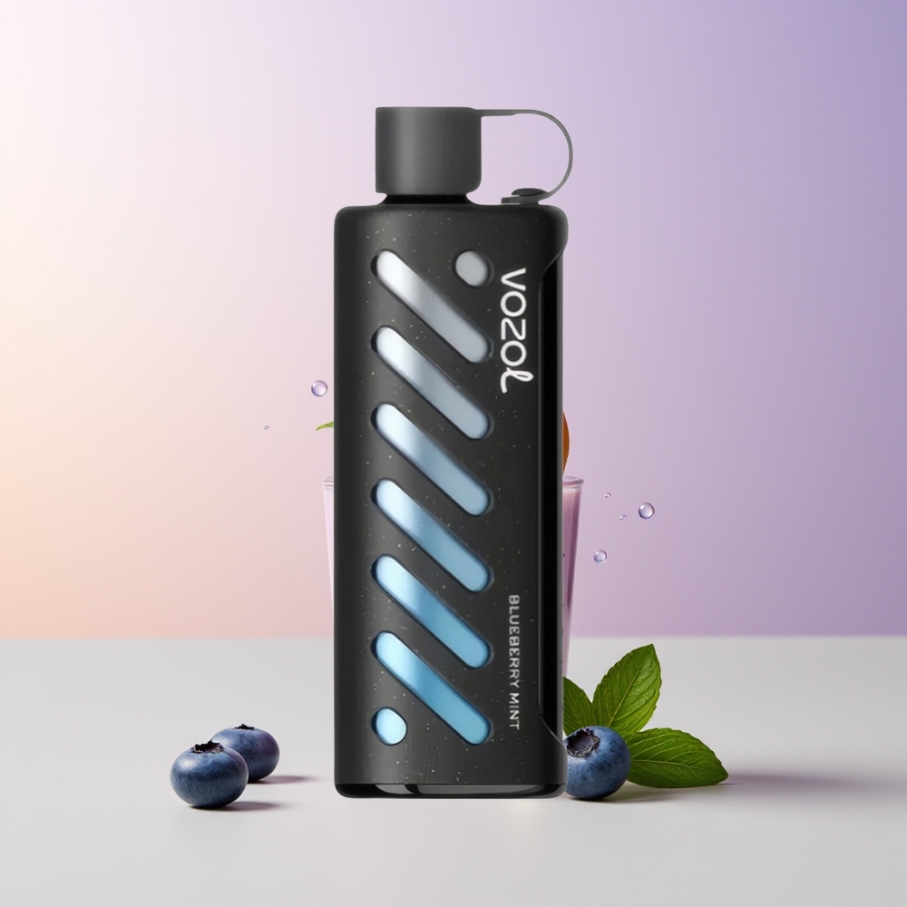 VOZOL Gear Shisha 25000 Bocados Menta Arándano Dual Mesh Chile Por Mayor