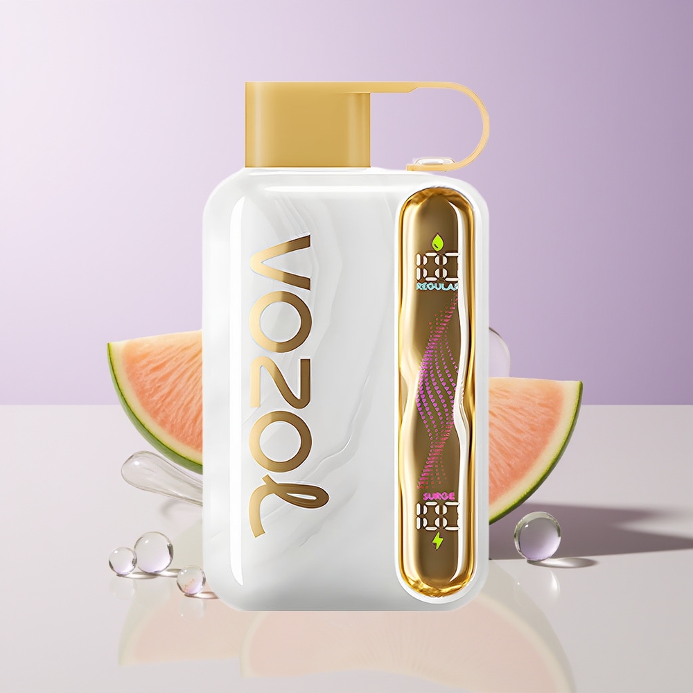 VOZOL STAR 40000 Chupadas Melón Helado Carga Tipo-C Chile Por Mayor